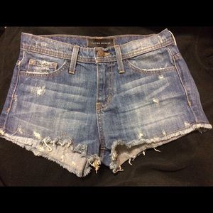 Flying Monkey Size 24 Distressed Shorts